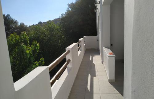 Dreamcatcher of Zeus - Foto 30