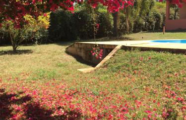 Chácara Santo Antonio - Foto 39