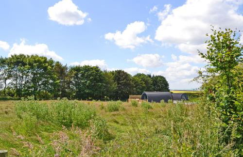 Beech - Uk47622 - Foto 14