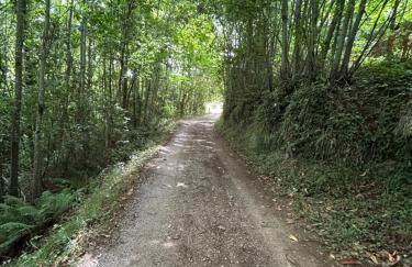 Villa Antia - Photo 37