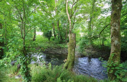 Glas y Dorlan - Foto 44