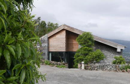 Lava Homes - Photo 4