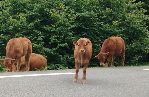 Coquet et accueillant Studio montagne la Mongie - Foto 31