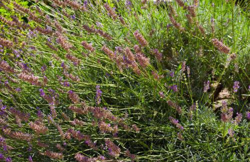 Apartment Annika - Foto 10