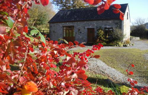 Cae'r Beili - Photo 23