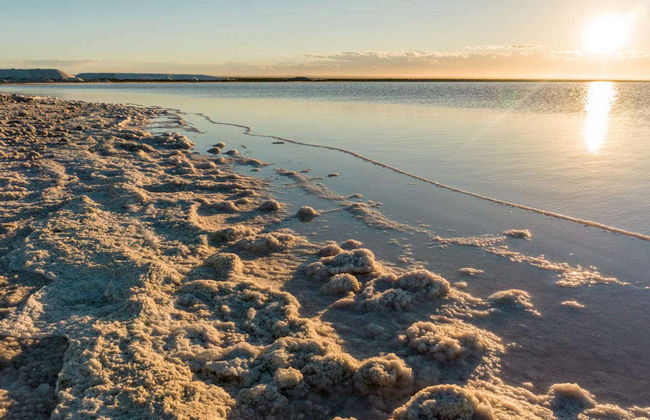 Excursión a las Salinas del Gualicho - Foto 3
