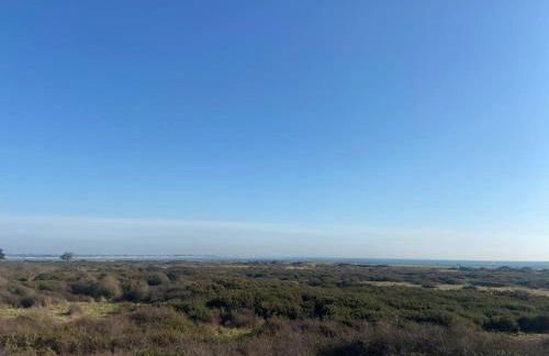 Whitecaps - Photo 17