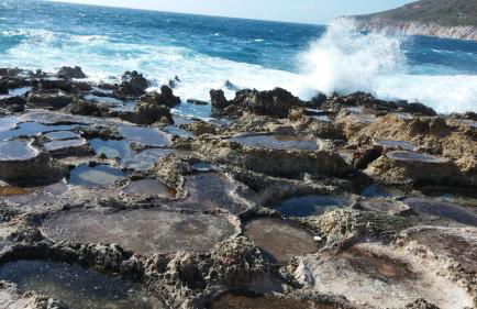 Thelea Mani - Foto 39