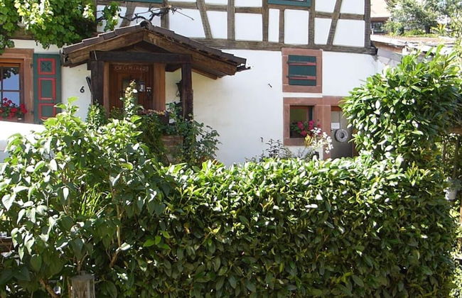 Holiday Apartment on Breitenberg - Photo 16