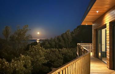 Villa l'Alpana en bois vue mer a 180 degres - Foto 32