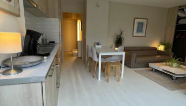 Appartement ,superbe terrasse 40m2 , vieux Lille , centre ville - Foto 3