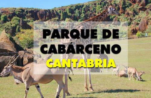 Apartamento Cuchia - Foto 32