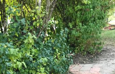 Maison à la Campagne - Foto 4