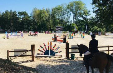 "L'or et des Landes" - 6 personnes - 5 minutes centre équestre et 10 minutes de Nérac - Foto 8