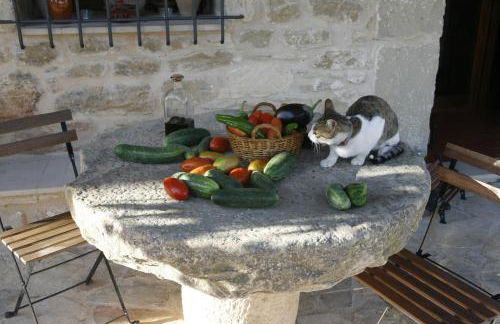 Hort de L'Aubert - Foto 7