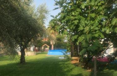 Anastasios Olive Garden Apartments - Foto 48