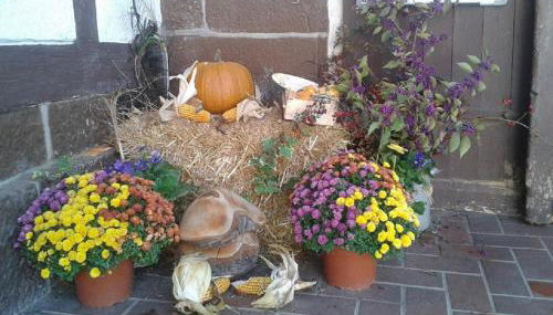 Anitas Landerlebnis - Foto 2, Other