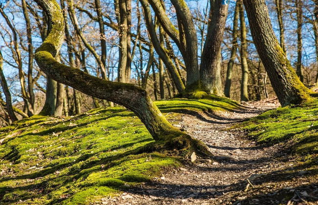 Nengshof - Haus Wildrose - Photo 38