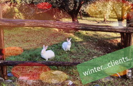 Villa Hacienda private pool with jacuzzi and sauna - Foto 26