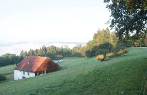 viaux-fontaine - Foto 7