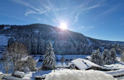 La Bresse Nature and Glisse - Foto 15