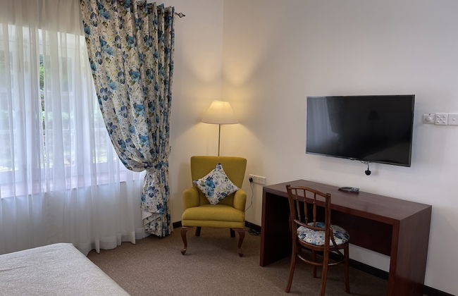 The Blossoms - Photo 6