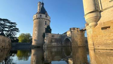 Oscar et Marcelle - Photo 3