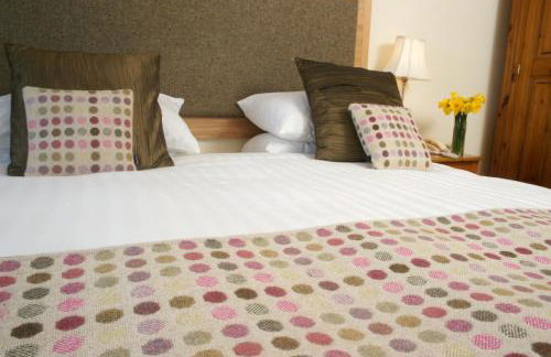 Wolfscastle Country Hotel - Foto 50