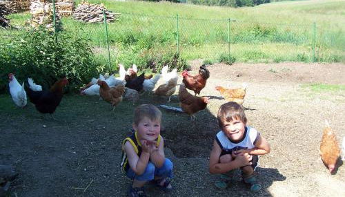 Wagner Bauernhof - Foto 4