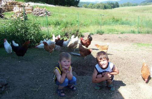 Wagner Bauernhof - Foto 4