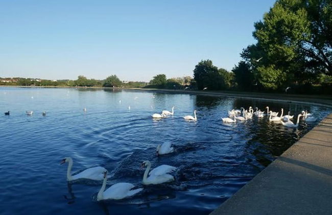 Aurora - Brand New Luxury 2 bed 2 Bath Apartment! - Foto 14