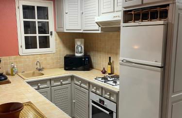 Mas Joviel villa Uzes - Photo 16