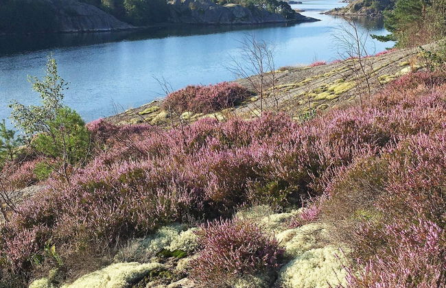 7 Person Holiday Home in Nosund - Foto 21