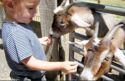 The Divine Cottage! Woodsy Hideaway! - Foto 73