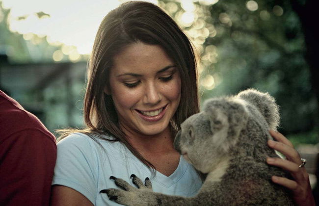 Passeio de barco + Santuário de coalas - Foto 8