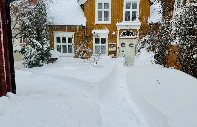 Toldgaarden Gjestegaard - Foto 55