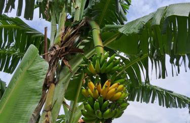 Recanto Ganesha seu paraíso na praia, no Recanto de Itaipuaçu ao lado de Itacoatiara - Foto 39