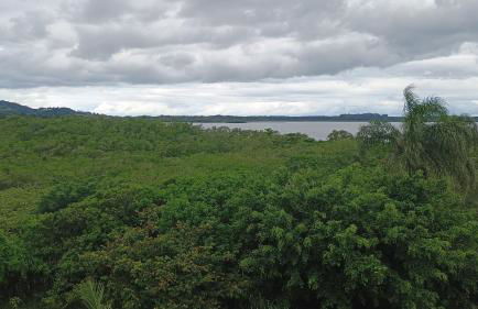 Recanto da Ilha SFS Praia do Capri - Foto 51