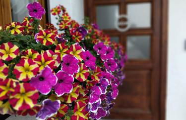 Schlafende Hexe - Foto 6