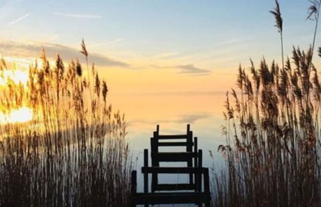 Apartment in Neustadt am Rubenberge - Photo 18