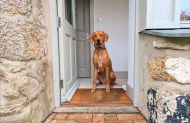 The Flower House - Photo 12