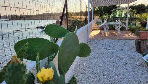 La Caletta di Afrodite - Foto 4, Garden