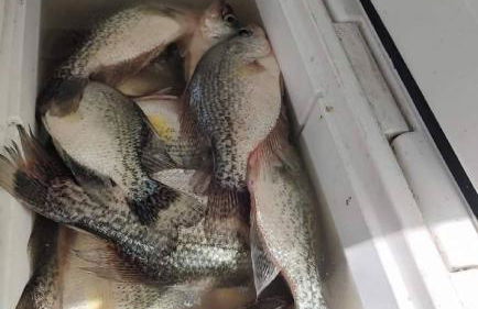 FREE BOAT to use ,Fish Camp, Water Front, Pets ok - Foto 63