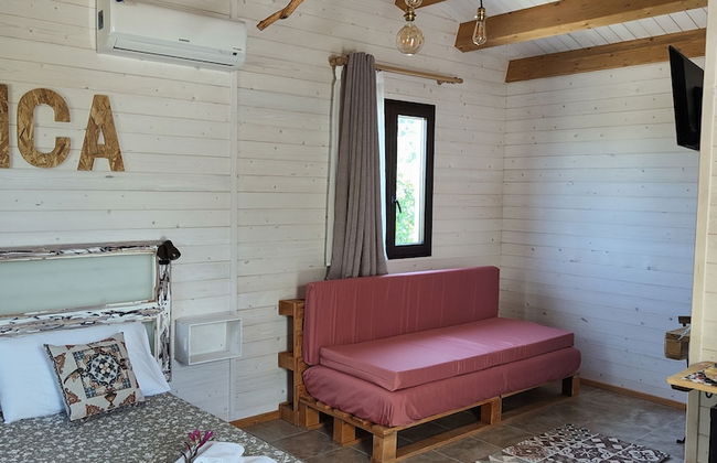 AgriBarocco - Photo 18