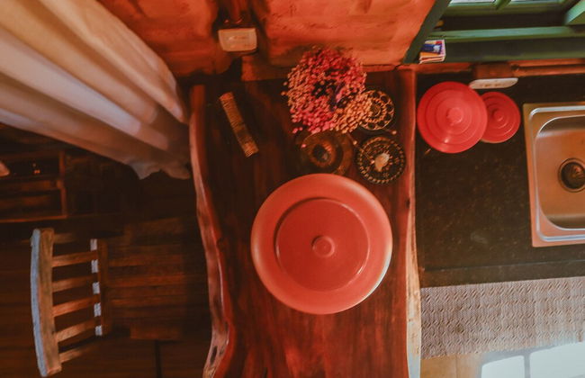 MORRO DA LUZ - Foto 43