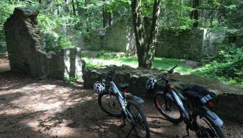 Ferienwohnung Sonnenhof - Photo 3