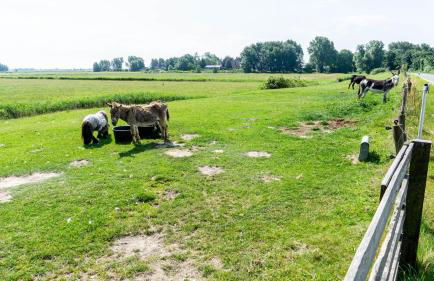 Ferienwohnung Amrum auf dem Holmhof - Foto 24