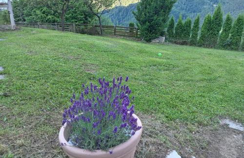 Chalet cima 12 Valle di Sella - Foto 60