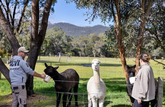 Halls Haven Holiday Units - Foto 28