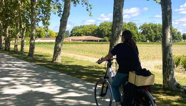 Saint Emilion Vineyards Bike Tour - Foto 3